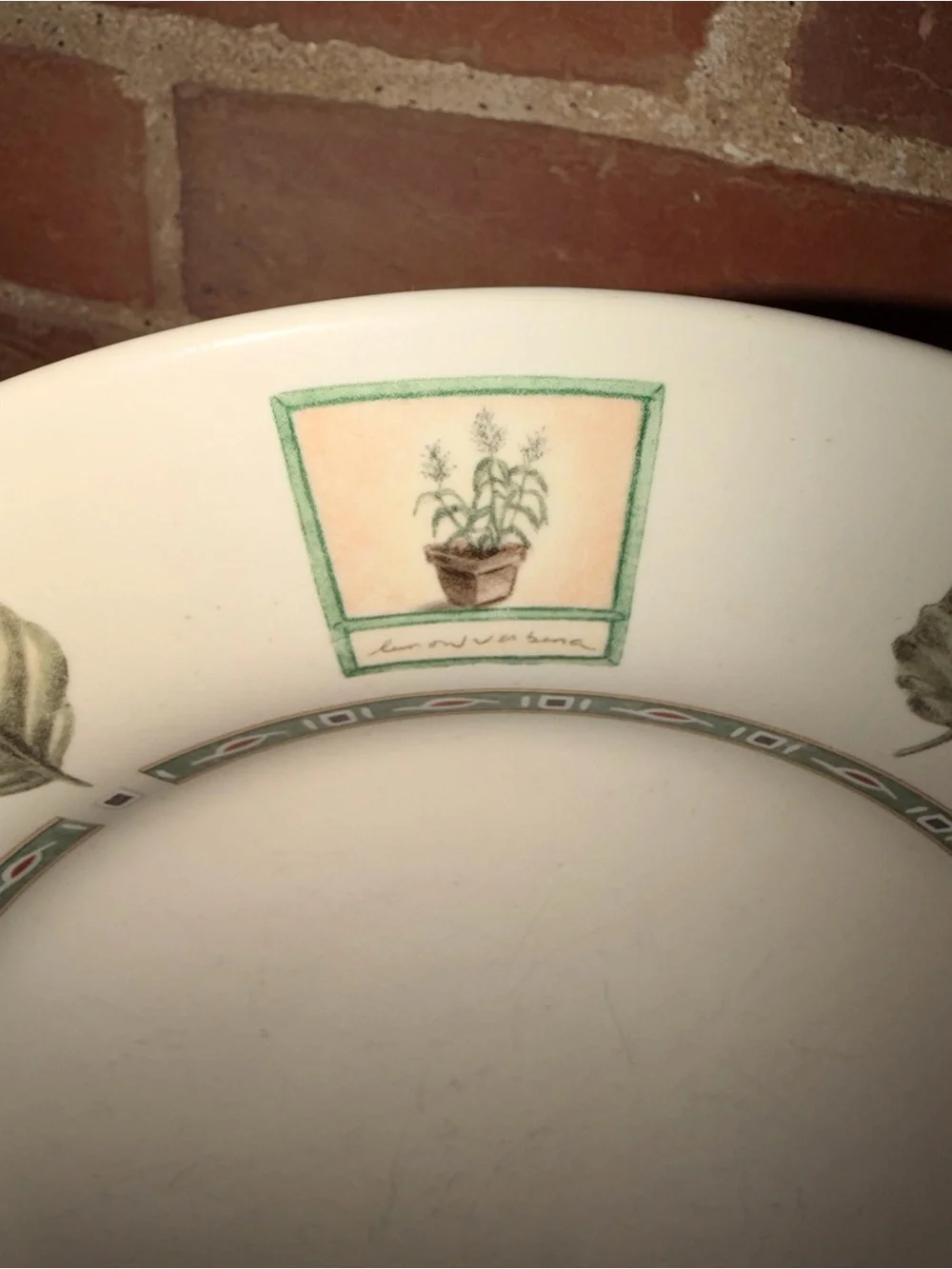 Pfaltzgraff Green Botanical Pattern Ceramic Dinner Plates Set of 14 (7 Each)